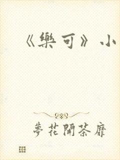 《乐可》小说封面