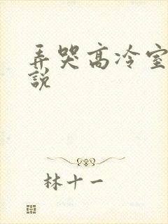 弄哭高冷室友小说