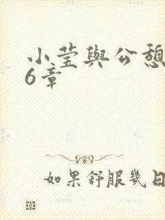 小莹与公憩第26章封面