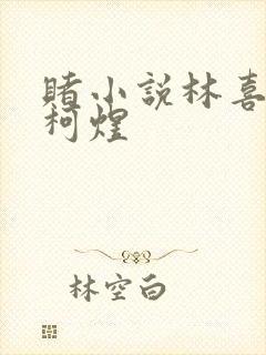 赌小说林喜朝和柯煜