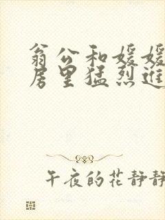 翁公和媛媛在厨房里猛烈进出