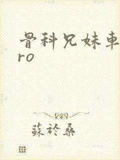 骨科兄妹车多pro封面