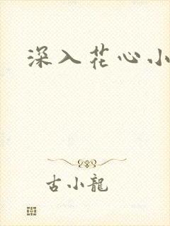 深入花心小说