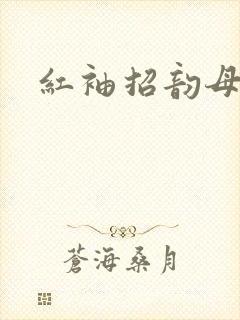 红袖招韵母攻略封面