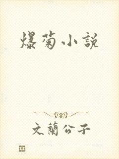 爆菊小说