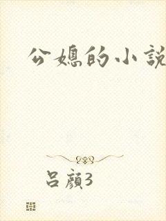 公媳的小说