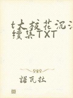 t大校花沉浮录续集TXT