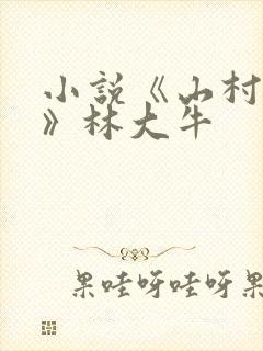 小说《山村情事》林大牛