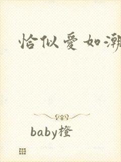 恰似爱如潮封面