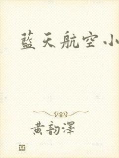 蓝天航空小说