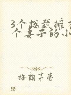 3个总裁拥有一个妻子的小说封面