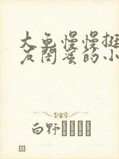 大龟慢慢挺进女友闺蜜的小说封面