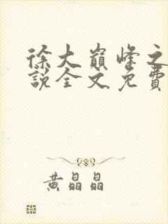 徐大巅峰之路小说全文免费阅读封面