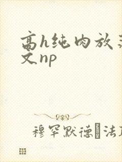 高h纯肉放荡h文np