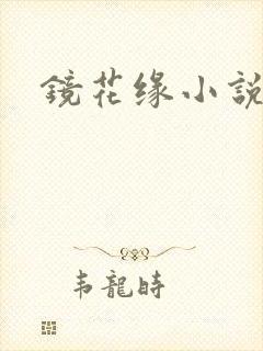 镜花缘小说