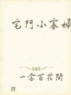 宅门小寡妇封面