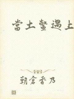 当土鳖遇上海龟