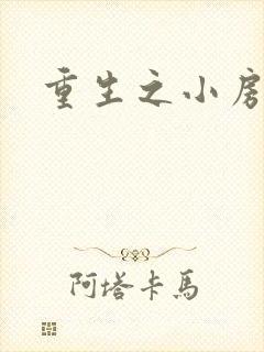 重生之小房东