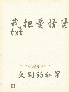 我把爱情煲成汤txt