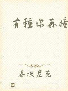 有种你再撞一下