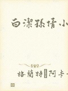 白洁孙倩小说封面