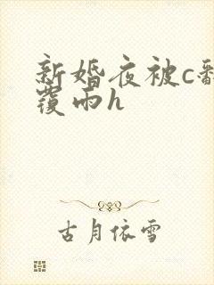 新婚夜被c翻云覆雨h