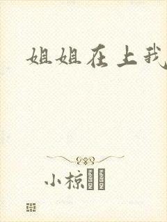 姐姐在上我在下