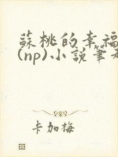 苏桃的幸福生活(np)小说笔趣阁沐沐封面