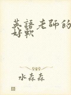 英语老师的兔子好软