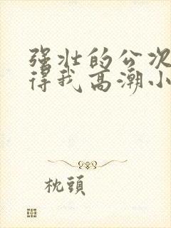 强壮的公次次弄得我高潮小说