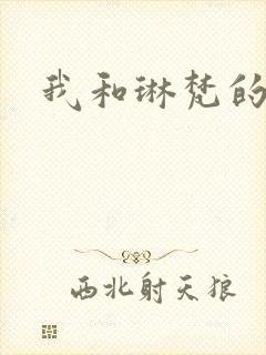 我和琳梵的故事