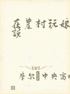 在农村玩娘俩小说