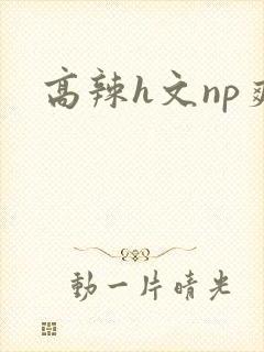高辣h文np爽封面