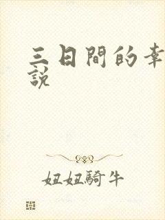 三日间的幸福小说