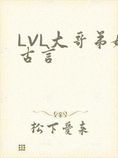 LVL大哥弟媳古言