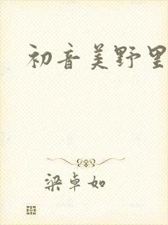 初音美野里封面