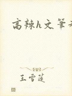 高辣h文笔趣阁