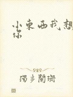 小东西我想弄坏你