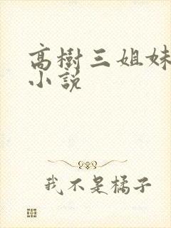 高树三姐妹有声小说封面
