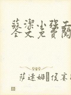 苏洁小强工地情全文免费阅读