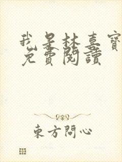 我是林喜宝小说免费阅读封面