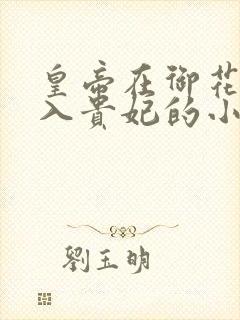 皇帝在御花园进入贵妃的小说