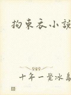 拘束衣小说封面