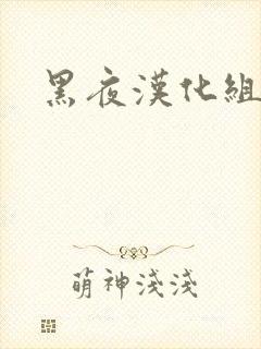 黑夜汉化组