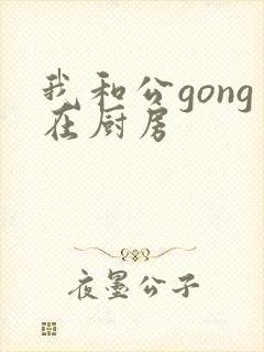 我和公gong在厨房