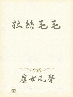 拉丝毛毛封面