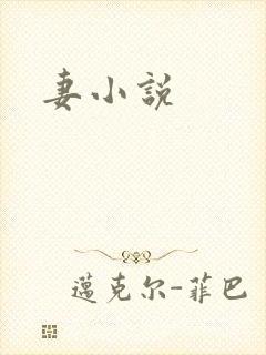 妻小说封面