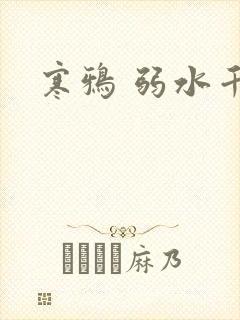 寒鸦 弱水千流