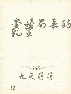 贵妇局长的蕾丝乳罩