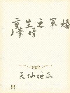 重生之军婚(h)李晴